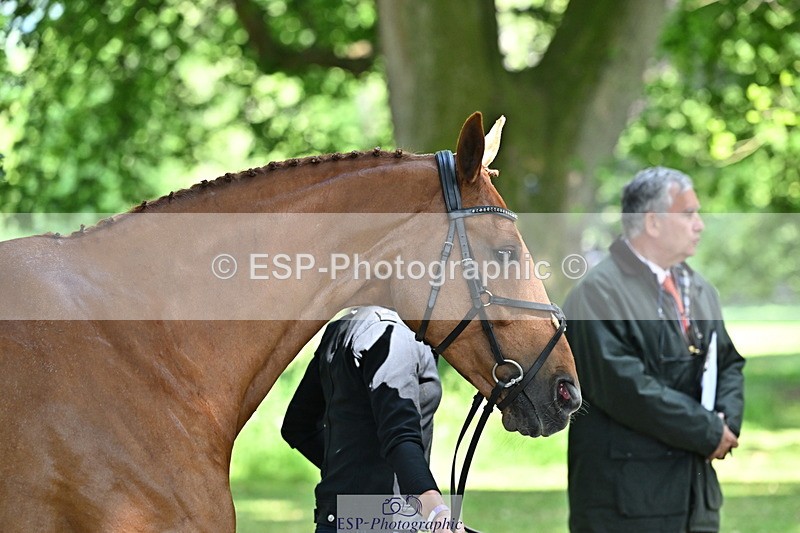 250521A-154445-00731 - B-360-Lucy.K.Wheeler-KING.CREOLE.VD.N.RANCH