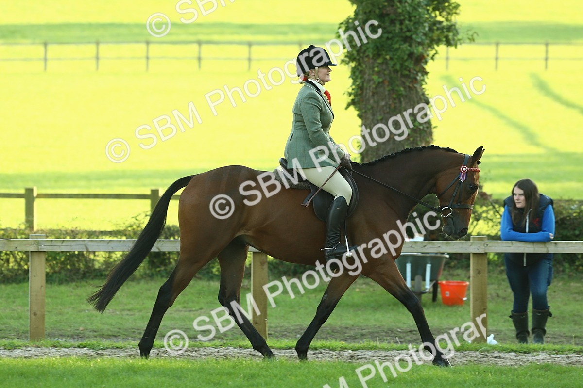 SBM_55586 - S14 - Riding Club Horse