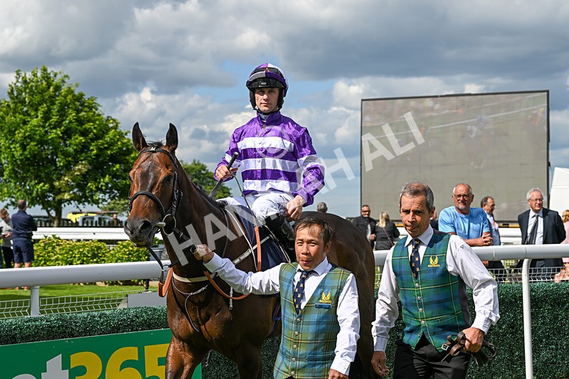 080624-Race 5-Ludos Landing-1508 - Race 5