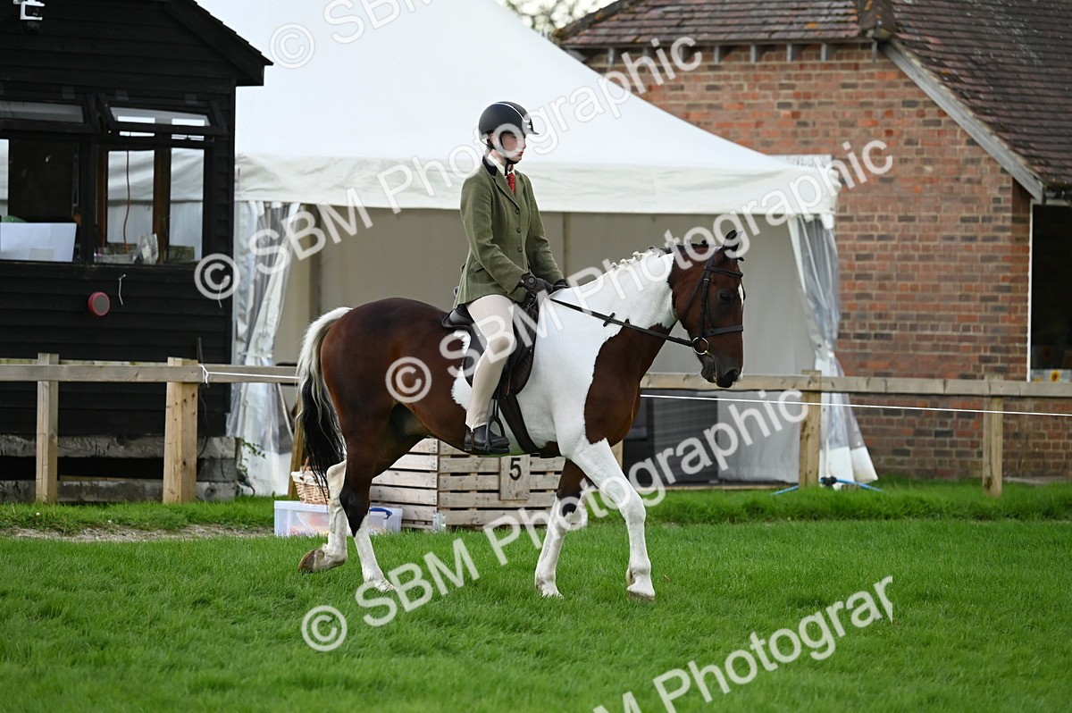 SBM_26556 - S7 - Novice & Newcomer Ridden Pony