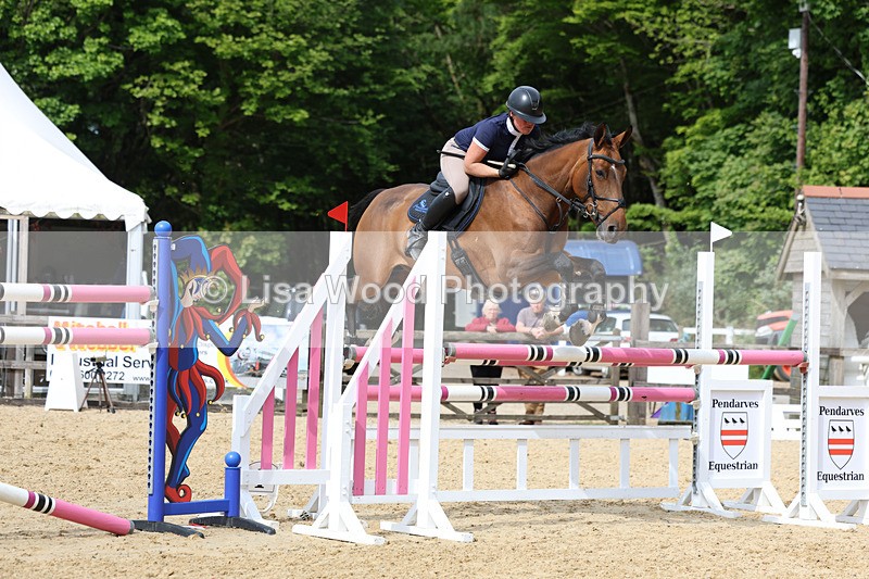 3E7A7707 - Class 8: Senior Foxhunter/1.20 open