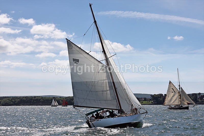170603 OLD GAFFERS - PASSAGER - 1Y3A2738 - YARMOUTH OLD GAFFERS RACE 3rd JUNE 2017