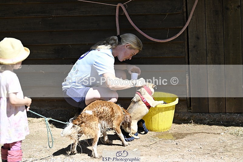 240728B-115814-00362 - Sunday Stable Shots and Fancy Dress