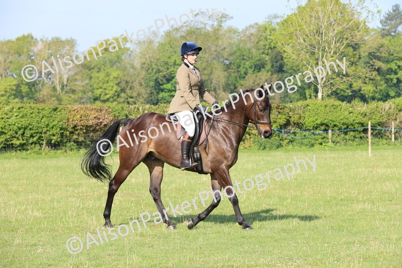 20250427-0498 - Class 17 - Novice Showing