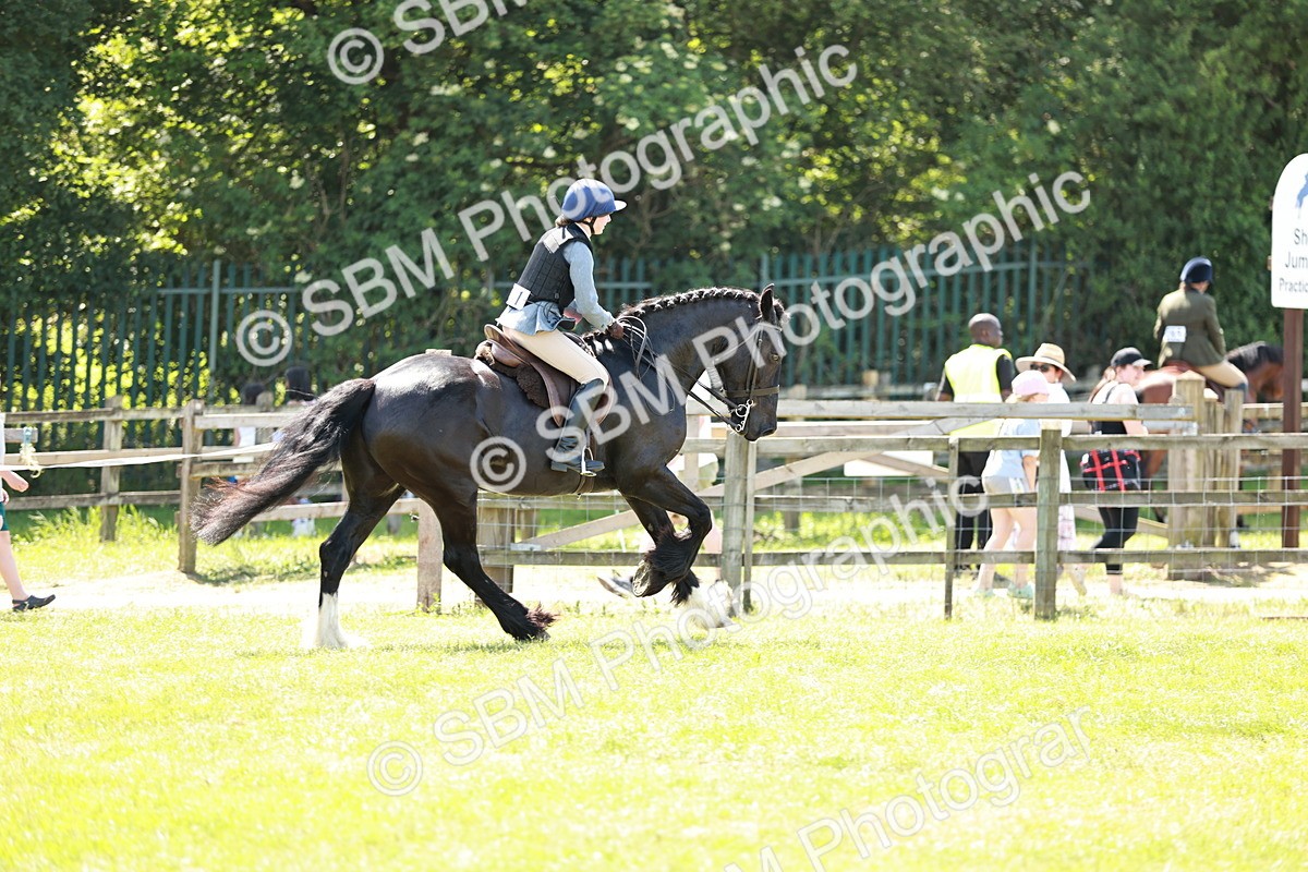 SBM_17378 - Class 110-111 - Training Stakes (70cms 80cms)