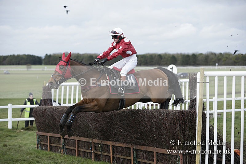 PtP 150320 0667 - New Forest Point-to-Point Larkhill 15/03/20