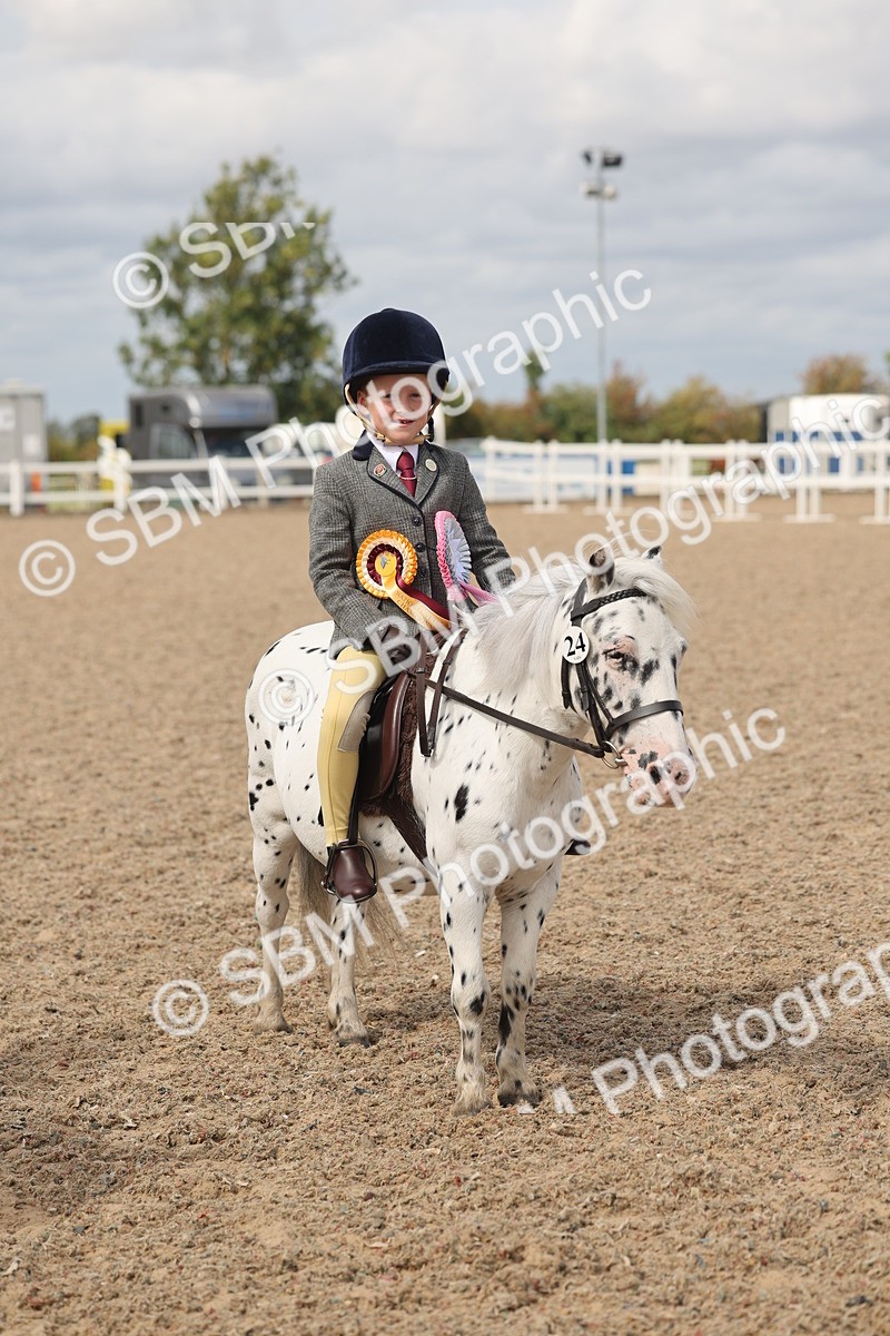 SBM_15930 - Class 310 - First Ridden Pony