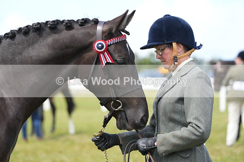 DSC06242 - Class 54: Hunter/Riding Horse/Hack 1 & 2 yr olds