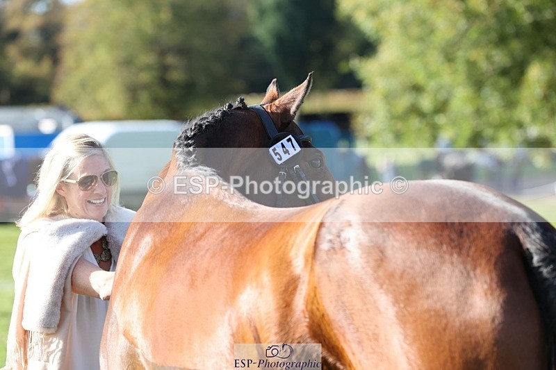 241027-100855-15715 - 447-Annastasia.Cross-KENNDALE