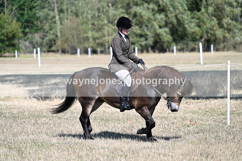 WJ7_3473 - Class 9 Mountain & Moorland Ridden