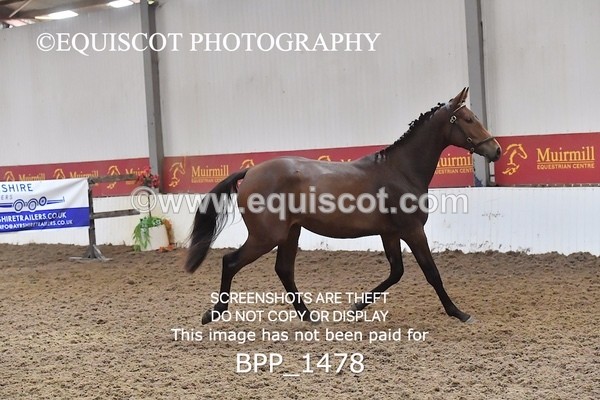 BPP_1478 - MORNING 9AM - 12PM