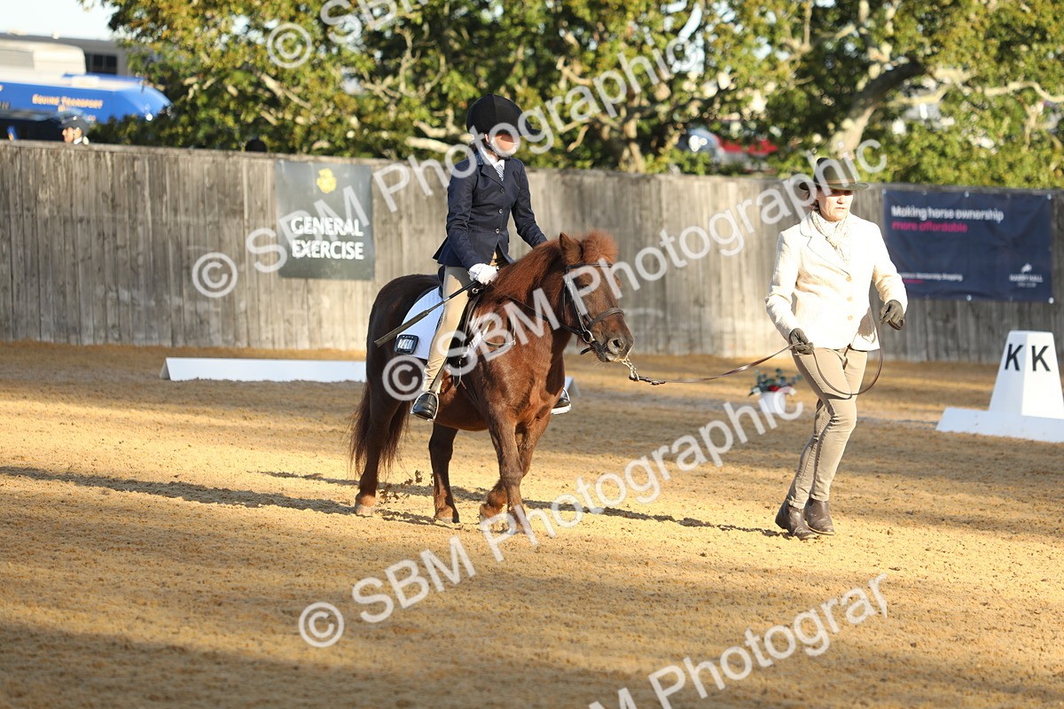 SBM_33627 - D26 - Starers - Lead Rein