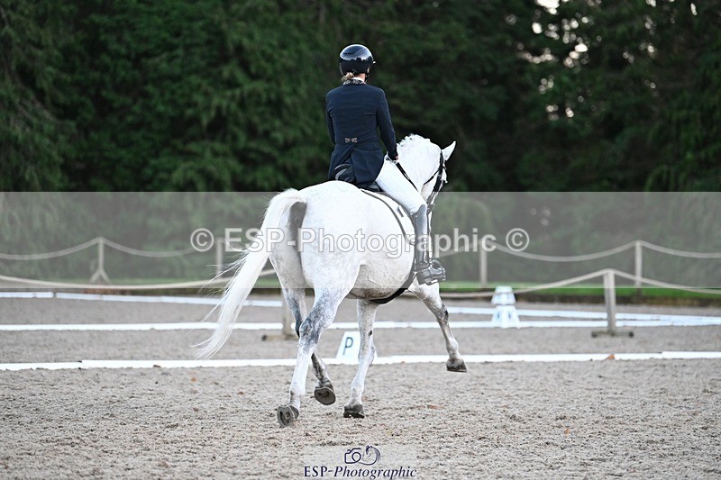 231110-162537-02605 - Cls 14 FEI Grand Prix
