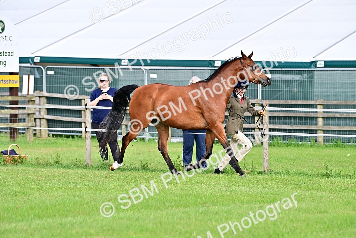 SBM_00016