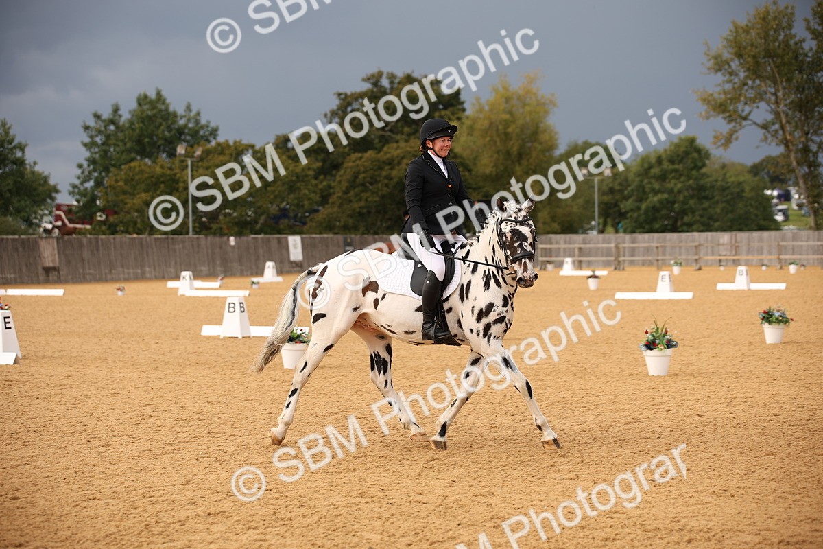 SBM_12290 - D3 Small  Tour Championship Intro A