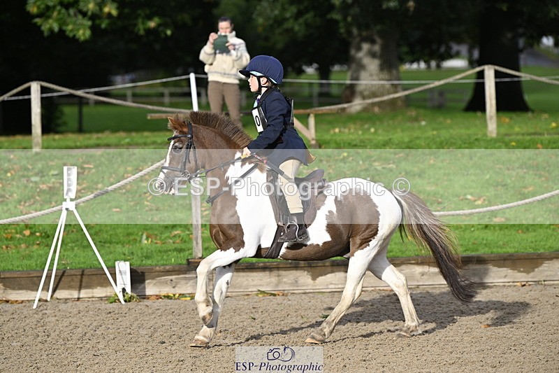 251005A-091550-03020 - Cls 02 GR 50cm