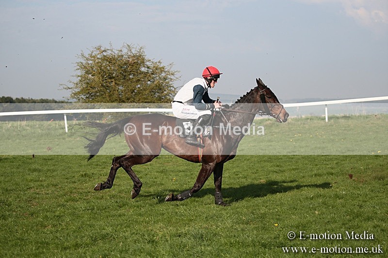 PtP 210418 621 - South & West Wilts Point-to-Point Larkhill 21/04/18
