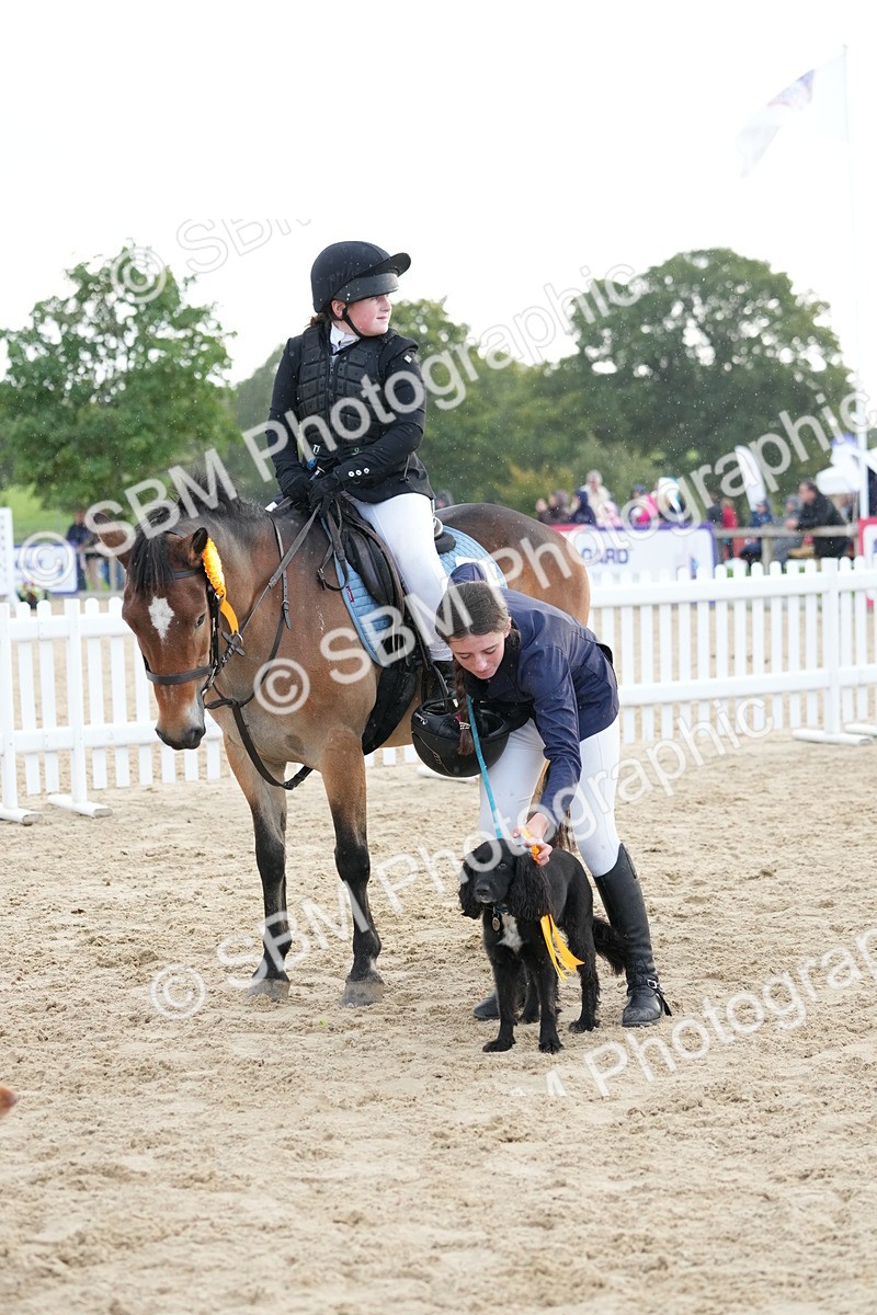 SBM_29229 - J43 - Horse & Hound Open 50cm