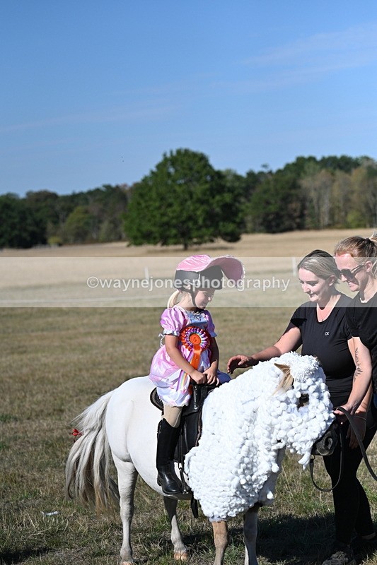 WJ7_2900 - Class 45 Fancy Dress (My Fav)