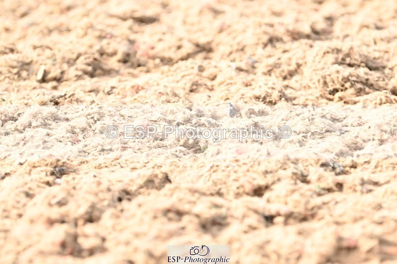 250620-174301-05030 - BD Cls 14 - Adv Medium 6