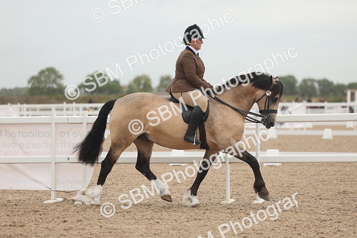 SBM_01871 - Class 14 - Ridden M&M Wildcard