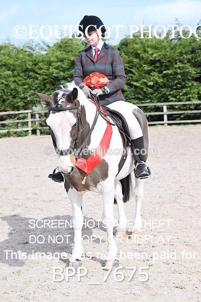 BPP_7675 - RING 1  (RIDDEN HORSES / IN HAND / VETERAN ETC)