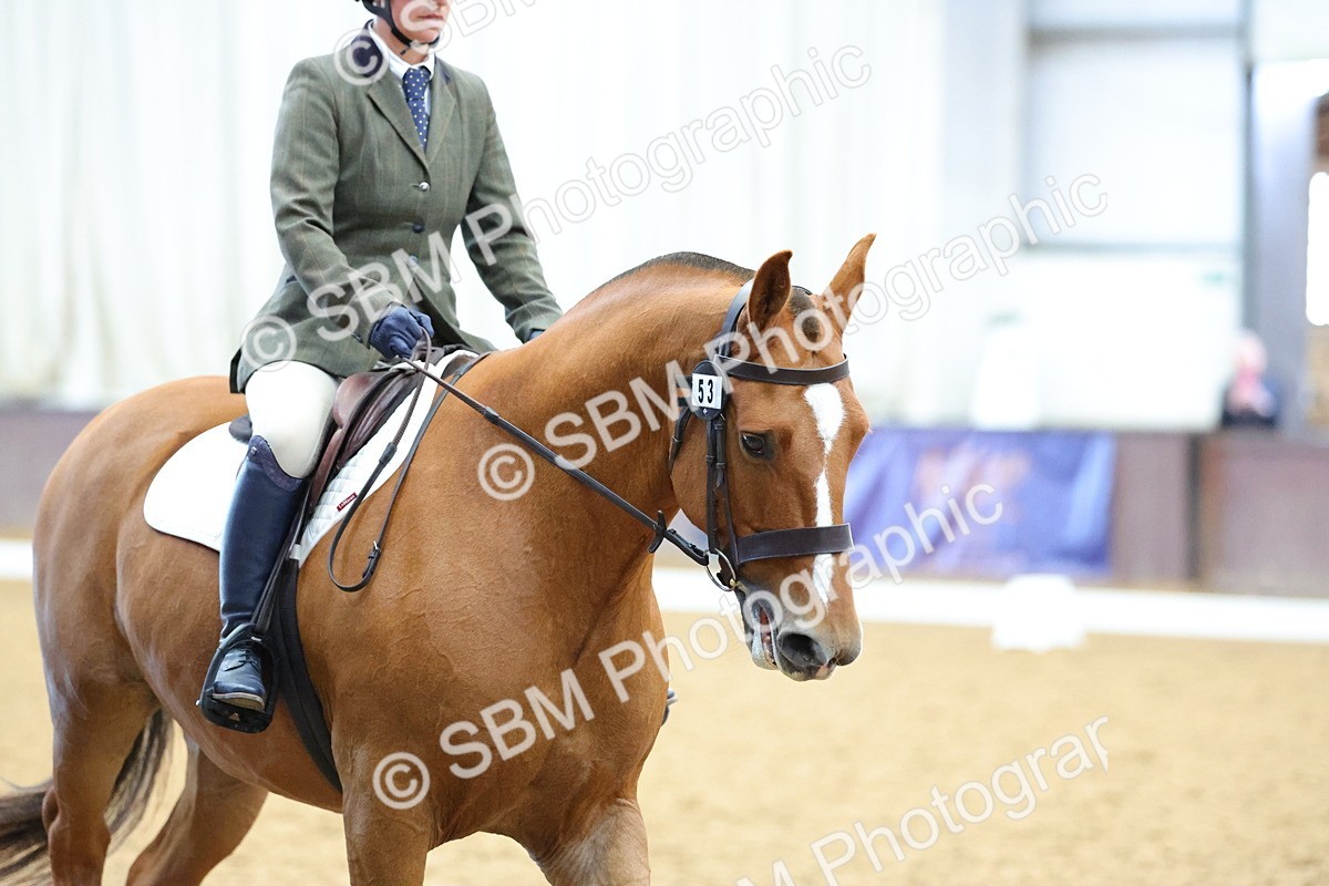 SBM_001933 - Class 5 - Novice 3