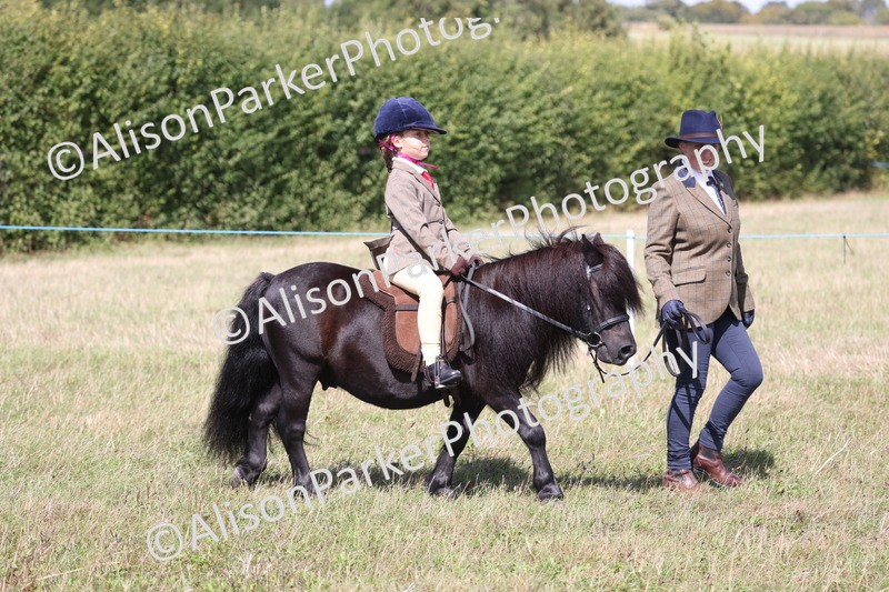 20260906-2747 - Class 25 - Absolute Beginners Pony