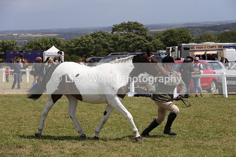 1X9A4824 - Class 35: Veteran In Hand