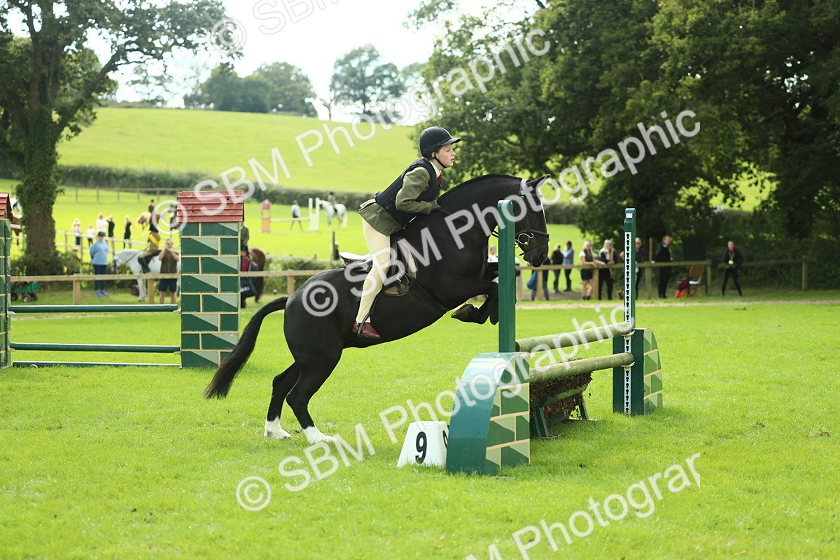 SBM_44748 - S31 - Working Hunter Pony