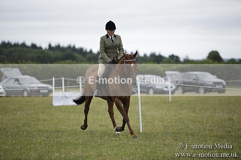 BVR160717-1033 - Ring 1 BVRC Show 16/07/17