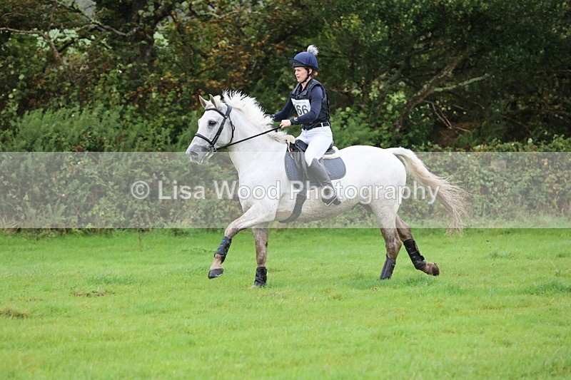 JPP_5443 - Class 4: 80cm: Crossed Logs