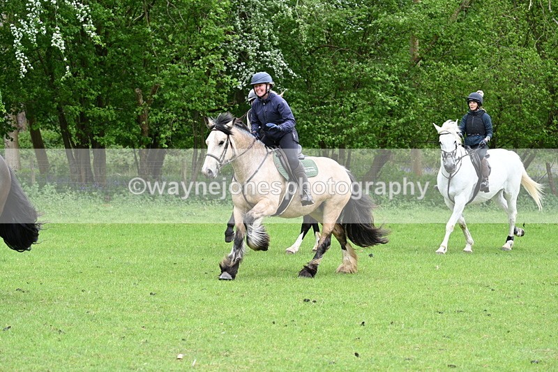 WJ7_2537 - Group 6 A&B Cameras