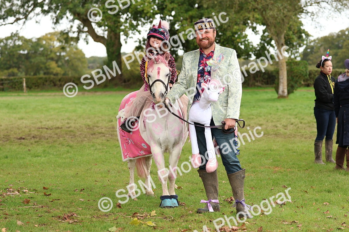 SBM_62233 - S37b - Best Unicorn