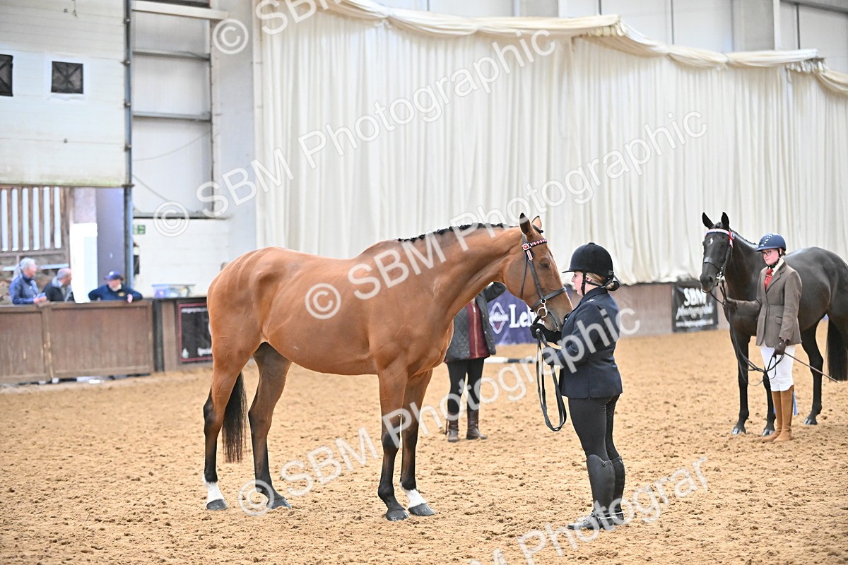 SBM_000225 - Class 7 - ROR Tattersalls In Hand