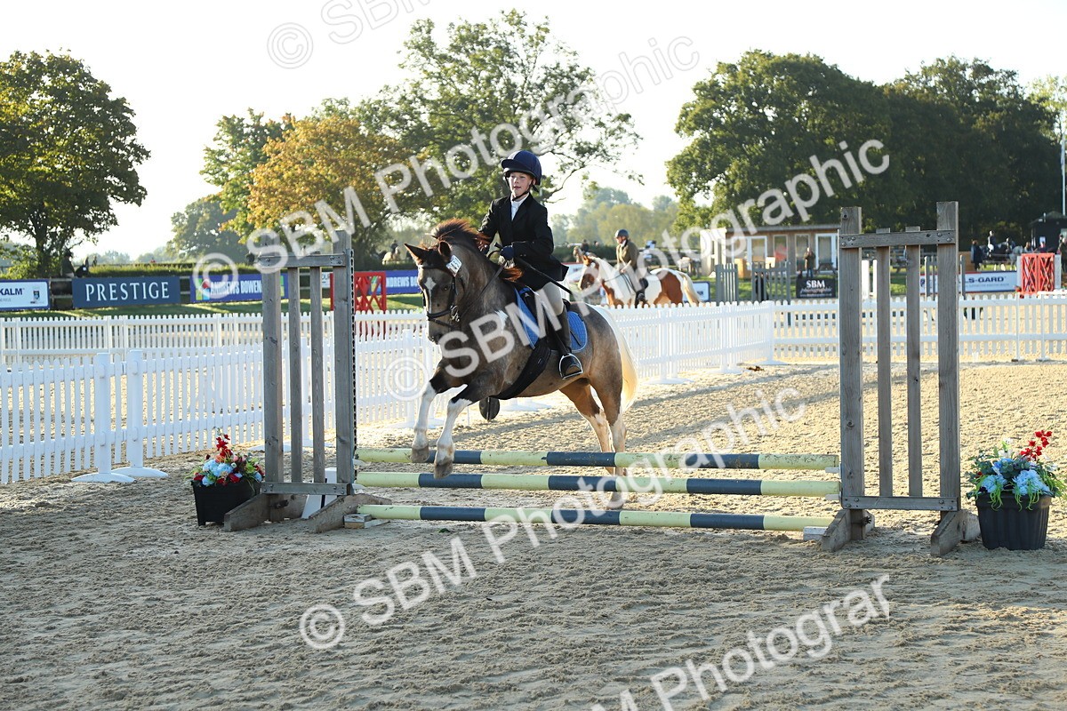 SBM_34868 - J5 - Junior Pony 50cm Championship