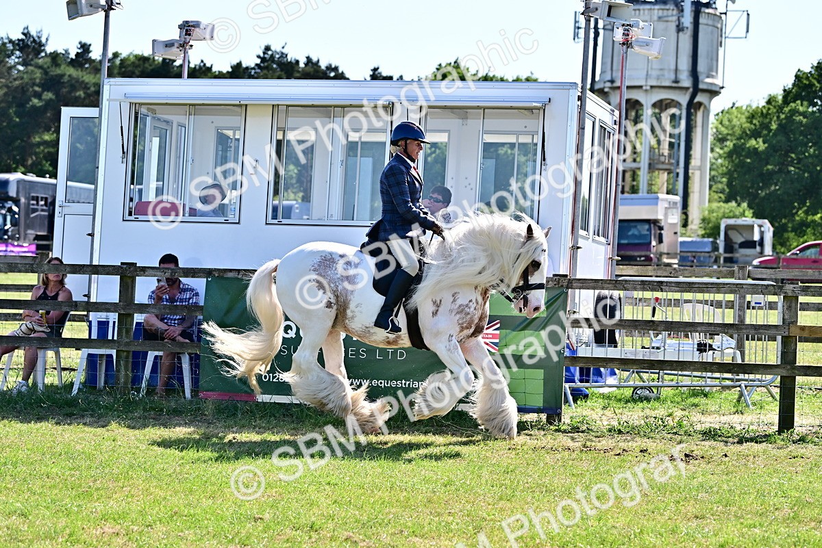 SBM_19396 - Class 101-102 - BSPS LIHS Performance Coloured Horse/Pony