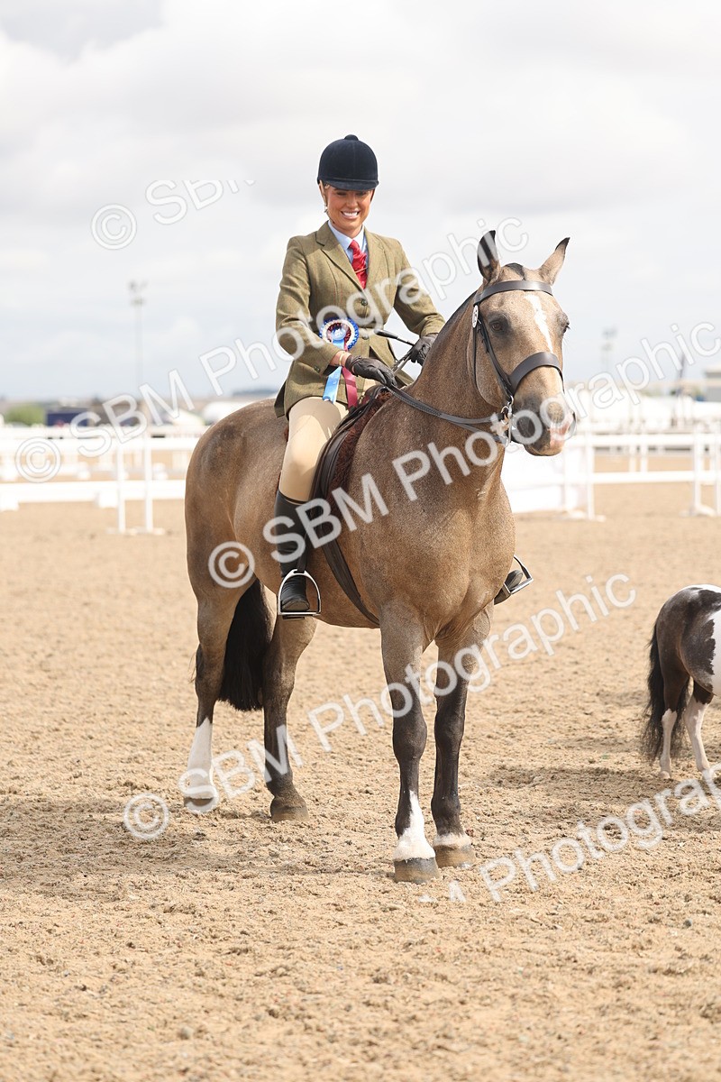 SBM_04576 - Class 19 - Horse/Pony Judge would most like to take home