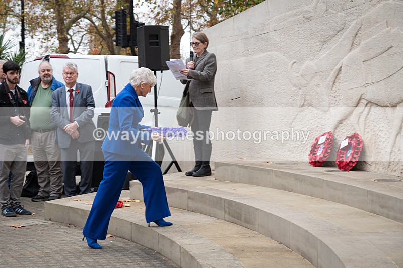 Z62_4596 - Animals In War Memorial 2025 - Park Lane, London