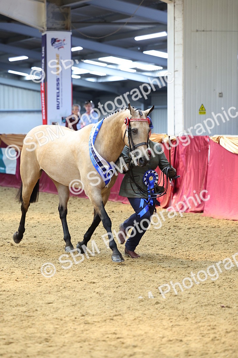 SBM_23267 - Supreme Final - IH Champion