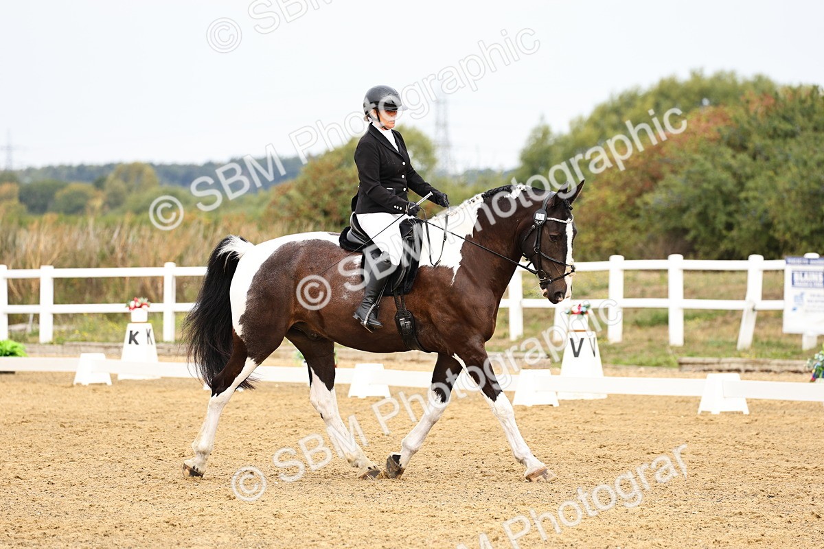 SBM_012214 - Class 2 - Prelim 5