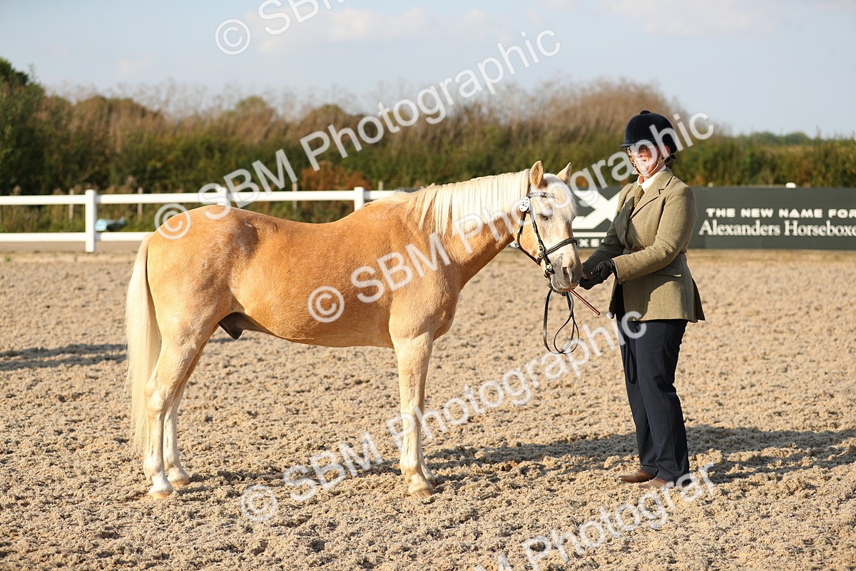 SBM_08952 - Class 29 IH Veteran Pony