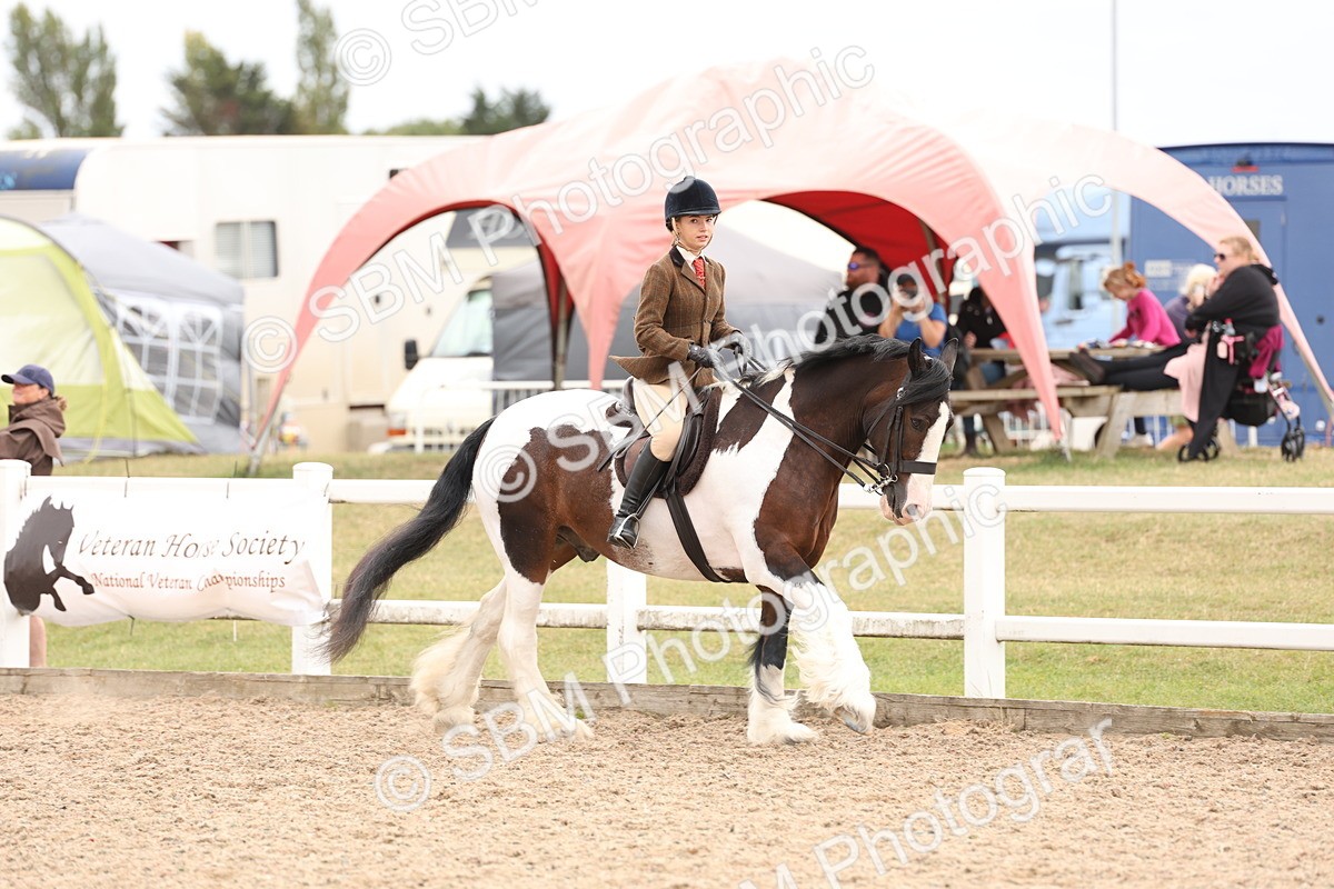 SBM_19659 - Class 216 - Ridden Traditional - Native Cob