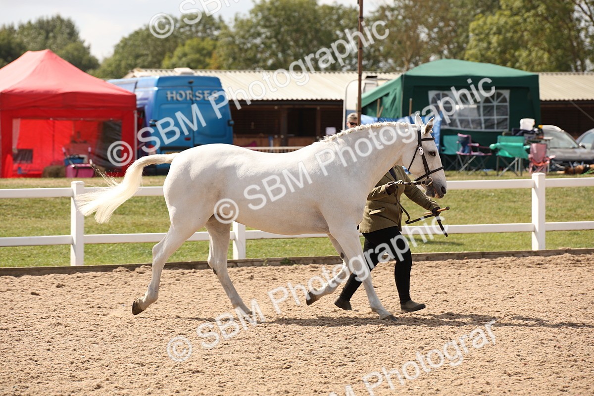 SBM_04545 - Class 20 IH Veteran