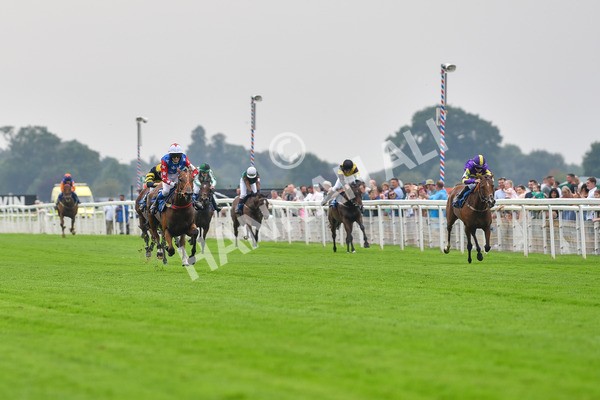 100923-Pony Race 1-Seal The Deal-1532 - Pony Race 1 12.25 The Dragon (TV and Film) Studios Pony Race 148cm & Under