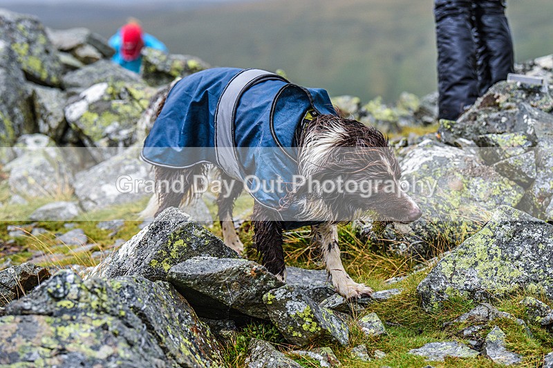 Matterdale-271 - Kong Matterdale Horseshoe Fell Race Saturday 20th August 2022