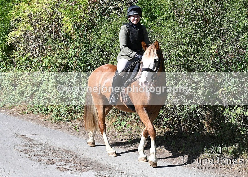WJ7_0453 - Berks & Bucks - Hound Exercise – Kennels 06-09-26