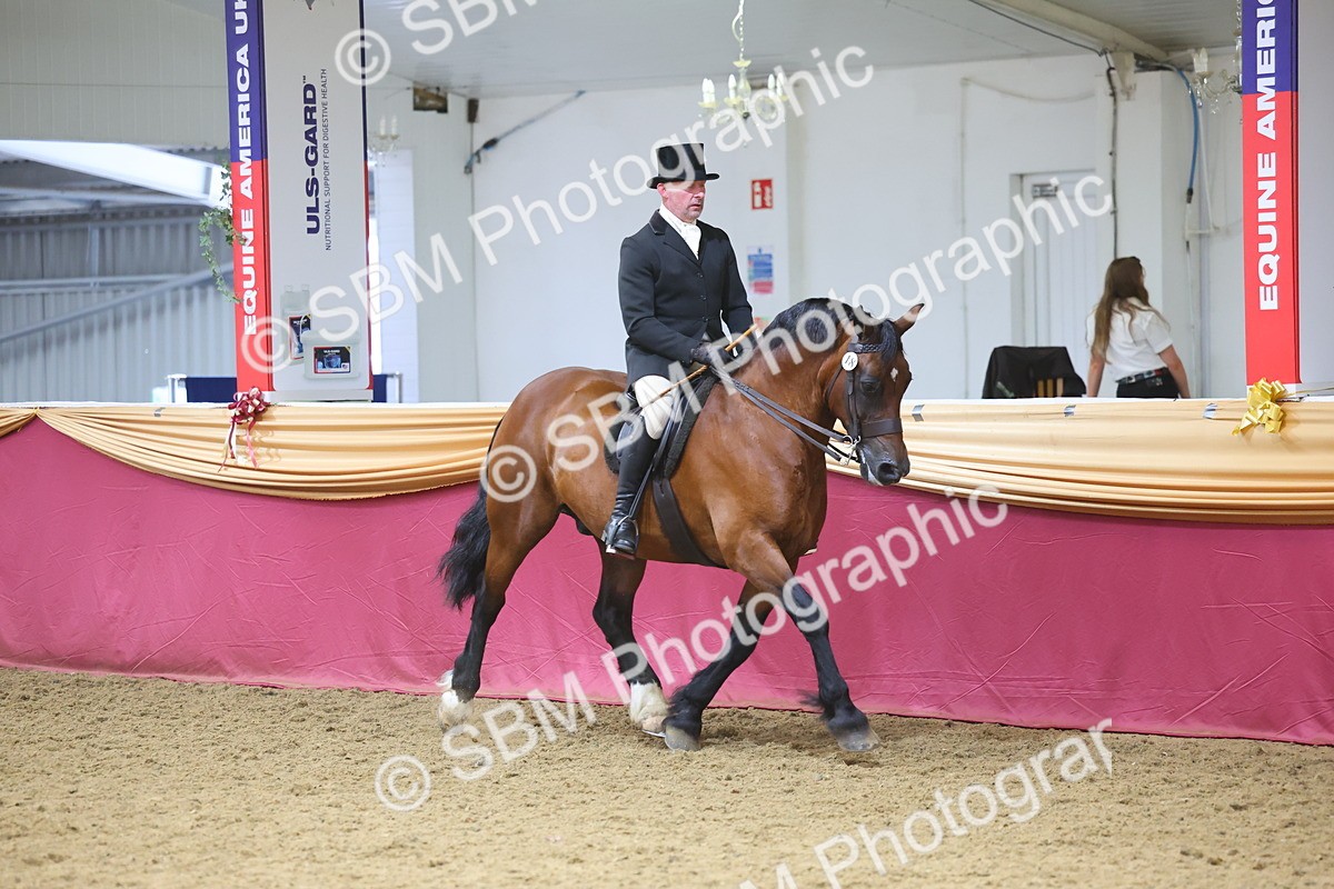 SBM_24916 - Supreme Final - Ridden Champion