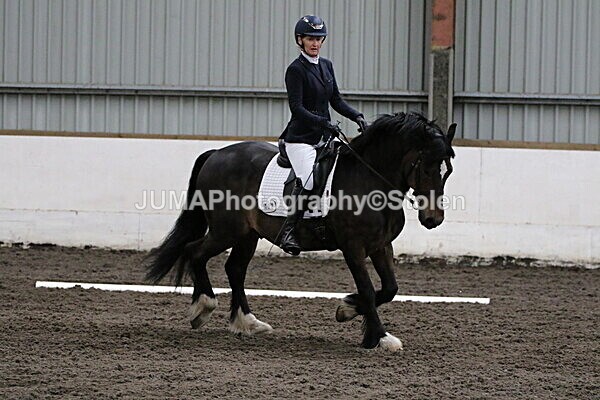SIAL3874 - CAbin Dressage 5th july 2025