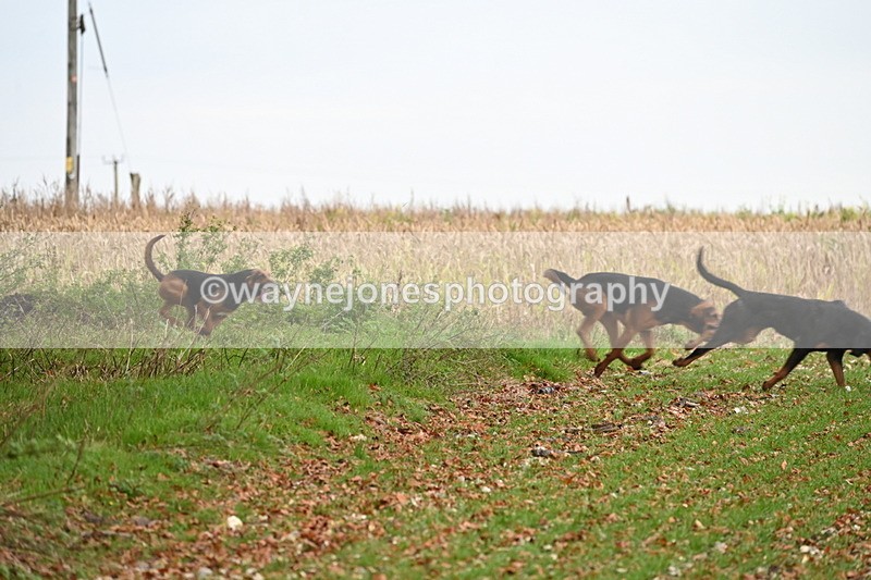 WJ6_9383 - Camera 2